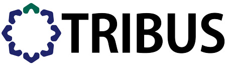 Consultoria Protheus SP